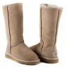 UGG Australia Classic Tall Sand Угги классические высокие бежевые