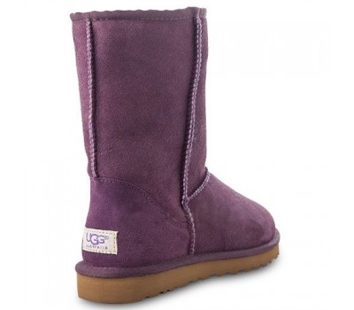 Ugg classic store short purple