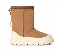 UGG Classic Short Weather Hybrid - Chestnut / Whitecap