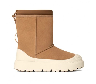 UGG Classic Short Weather Hybrid - Chestnut / Whitecap